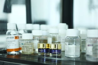 法伯麗探訪央豐工廠,揭秘你不知道的 中國質造