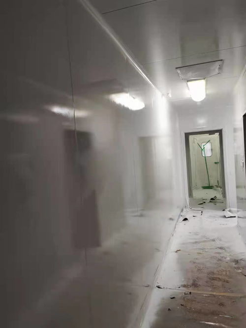 制藥廠凈化板噴漆翻新,食品廠凈化板劃痕凹痕修復翻新,凈化板色差改色