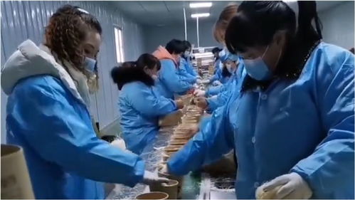 一酸辣粉食品加工廠 員工不戴 手套,頭套 這樣生產食品安全怎么保障