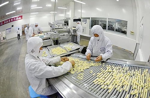 金絲猴奶糖的資本漂流記 從國(guó)貨驕傲到三度易主與品牌反思